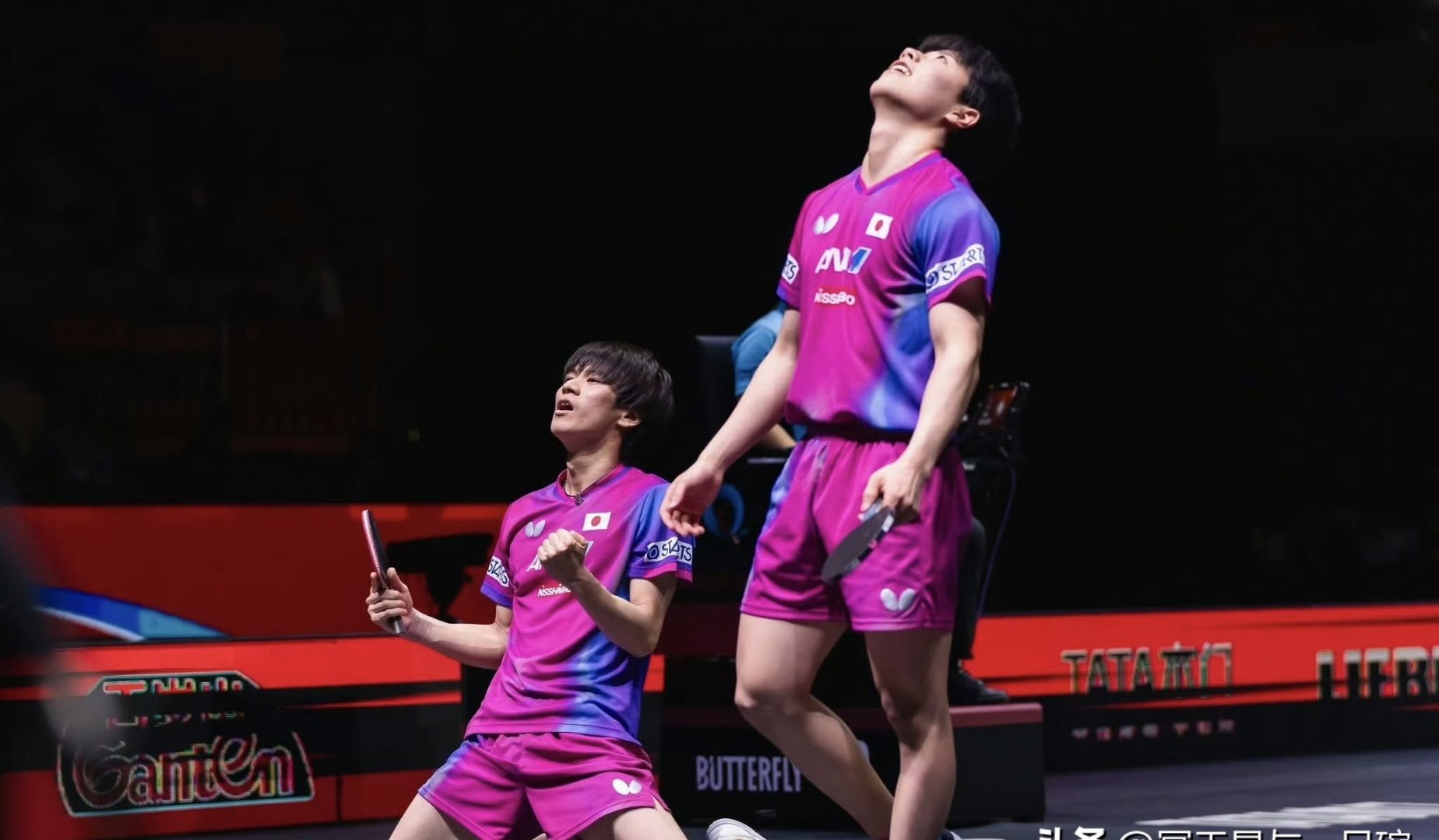 包含比利时乒乓球队爆冷德国乒乓球队,张本智和制霸全场的词条 包含比利时乒乓球队爆冷德国乒乓球队,张本智和制霸全场的词条