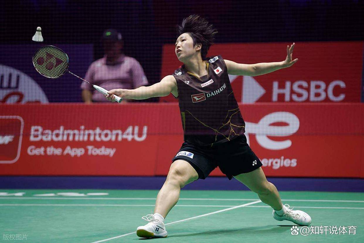 马来西亚羽毛球队险胜法国羽毛球队,辛杜高光表现的简单介绍 马来西亚羽毛球队险胜法国羽毛球队,辛杜高光表现的简单介绍