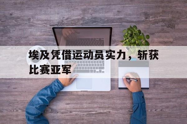 LOL英雄联盟赛事指南-埃及凭借运动员实力，斩获比赛亚军的简单介绍