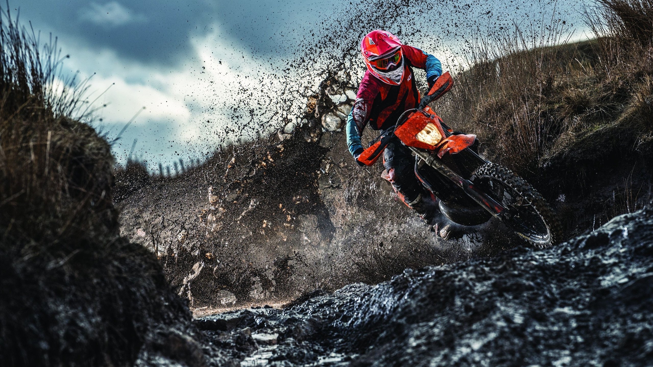 塔图姆的火焰，当波士顿的意志熔铸于北京寒夜