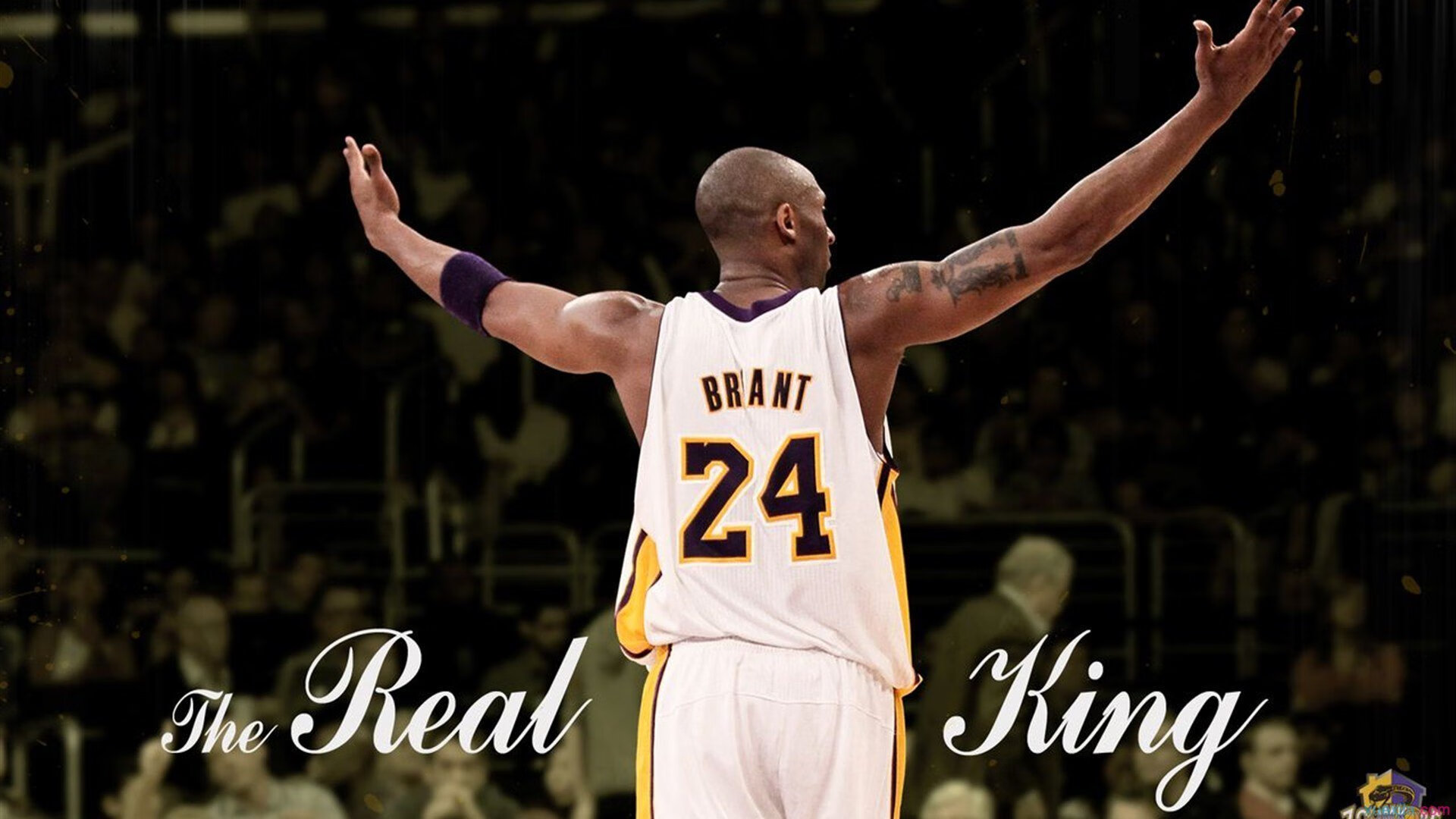 津门虎啸！高诗岩末节19分导演惊天逆转，深圳主场沦陷记